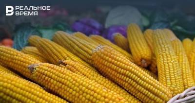 Исследование: в Казани вырос спрос на доставку продуктов - realnoevremya.ru - респ. Татарстан - Казань