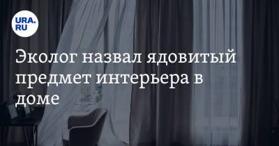 Эколог назвал ядовитый предмет интерьера в доме - ura.news - Экология