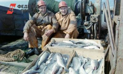 В России вновь вырастут цены на рыбу - fedpress.ru - Москва - с. Дальний Восток