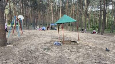 Воронежцы пожаловались на ужасающее состояние детских площадок в популярном парке - vestivrn.ru - р-н Советский