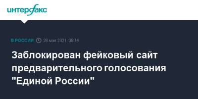 Андрей Турчак - Заблокирован фейковый сайт предварительного голосования "Единой России" - interfax.ru - Москва