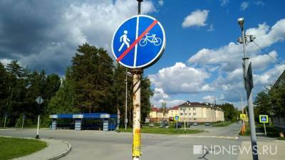 Людмила Прокофьева - В Свердловской области с начала года 27 велосипедистов попали в ДТП - newdaynews.ru - Екатеринбург - Свердловская обл.