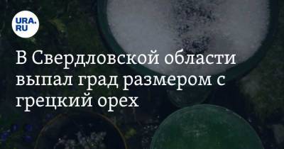 В Свердловской области выпал град размером с грецкий орех. Фото - ura.news - Свердловская обл. - Первоуральск