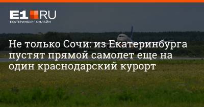 Артем Устюжанин - Не только Сочи: из Екатеринбурга пустят прямой самолет еще на один краснодарский курорт - e1.ru - Сочи - Екатеринбург - Пермь - Геленджик