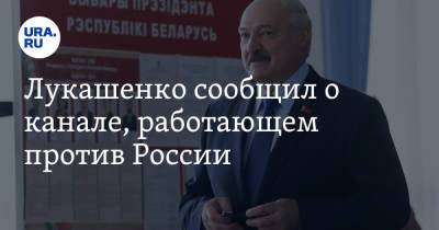Александр Лукашенко - Роман Протасевич - Лукашенко сообщил о канале, работающем против России - ura.news - Минск