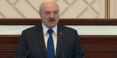 Александр Лукашенко - Роман Протасевич - Лукашенко утверждает, что самолет Ryanair сел в Минске без принуждения и называет Протасевича террористом - ТЕЛЕГРАФ - telegraf.com.ua - Швейцария - Минск