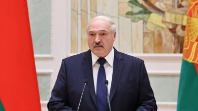 Александр Лукашенко - На борту Ryanair был террорист и об этом знали на Западе: Лукашенко - 5-tv.ru - Швейцария - Белоруссия - Минск - Европа