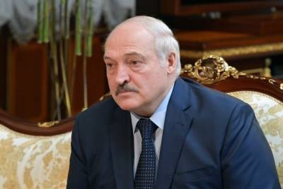 Лукашенко заявил о законности действий при посадке самолёта Ryanair в Минске - govoritmoskva.ru - Швейцария - Белоруссия - Вильнюс - Минск