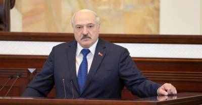 Александр Лукашенко - Лукашенко о рейсе Ryanair: "Я не мог допустить, чтобы самолет упал на головы наших людей" - delo.ua - Швейцария - Вильнюс - Минск
