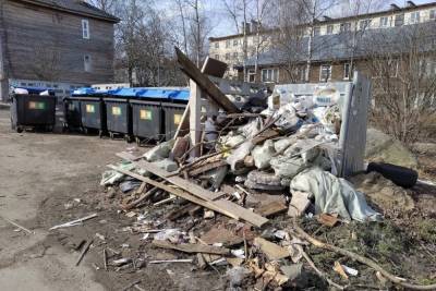 В Петрозаводске нашли поджигателя мусорных контейнеров - karel.mk.ru - Петрозаводск