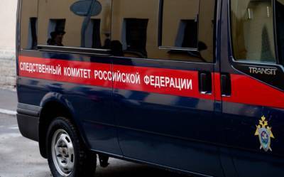 Жена депутата снимала порно с участием школьников - gubdaily.ru - Москва - Омская обл.
