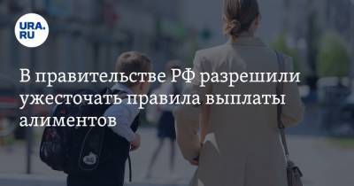 Владимир Груздев - В правительстве РФ разрешили ужесточать правила выплаты алиментов - ura.news