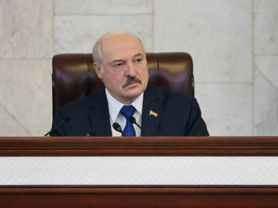 Александр Лукашенко - Роман Протасевич - Лукашенко заявил, что задержанный Роман Протасевич "убивал людей на Донбассе" и планировал "бойню в Беларуси" - unn.com.ua - Украина - Киев - Минск