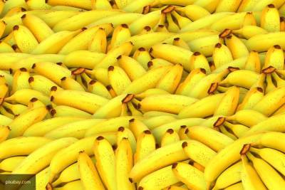 Ольга Кораблева - Диетолог рассказала, какие бананы более пользы для организма - newinform.com