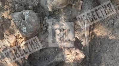 В Воронежской области обнаружили массовое захоронение времен ВОВ - iz.ru - Воронеж - Воронежская обл.