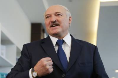 Александр Лукашенко - Лукашенко потребовал от западных стран компенсацию за расследование инцидента с самолетом - mk.ru - Минск