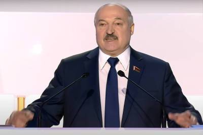 Александр Лукашенко - Роман Протасевич - Финский политолог предрек слияние Белоруссии с Россией - mk.ru - Минск