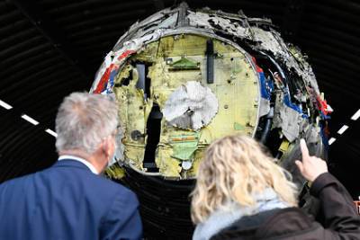 Нидерланды пообещали доказать причастность ДНР к катастрофе «Боинга-777» - lenta.ru - ДНР - Донецк - Голландия