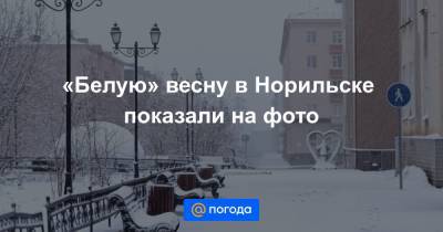 Анна Лысенко - «Белую» весну в Норильске показали на фото - news.mail.ru - Ярославская обл. - Оренбургская обл. - Самарская обл. - Новгородская обл. - Липецкая обл. - Норильск