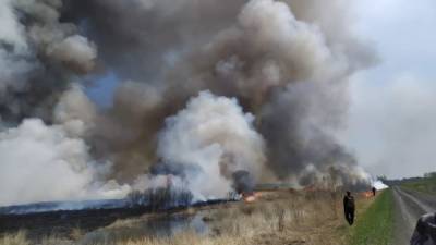 В воздухе Тюмени вновь нашли вредные вещества из-за лесных пожаров - nakanune.ru - Тюмень