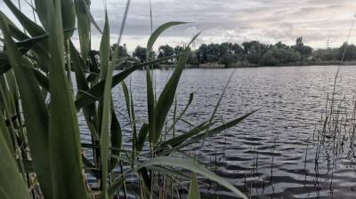 В воронежском селе 42-летний мужчина утонул на глазах у друзей - vestivrn.ru - Воронеж