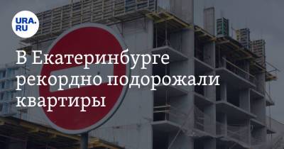 В Екатеринбурге рекордно подорожали квартиры. Дешевеет только один тип жилья - ura.news - Екатеринбург - Уральск