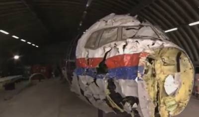 Нидерландским судьям показали реконструкцию Boeing MH17 - newizv.ru - Голландия