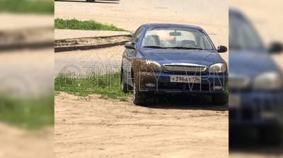 В Воронеже на автомобиль «напал» рой пчёл - vestivrn.ru - Воронеж