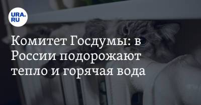 Комитет Госдумы: в России подорожают тепло и горячая вода - ura.news