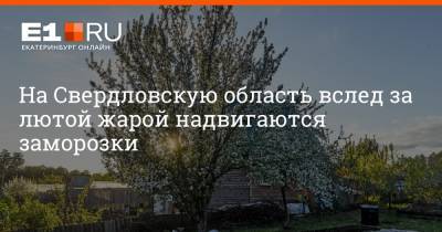 Артем Устюжанин - На Свердловскую область вслед за лютой жарой надвигаются заморозки - e1.ru - Екатеринбург - Свердловская обл. - Уральск