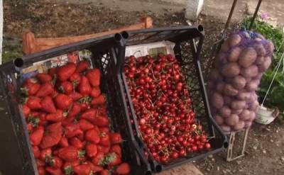 Українців хочуть области податком за продаж овочів та фруктів з власної присадибної ділянки - ukrainianwall.com - Украина