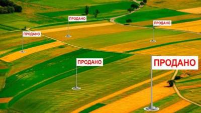 Закон о земельной децентрализации официально опубликован - lenta.ua