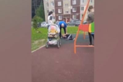 В Ленобласти 50-летний мужчина избил на детской площадке 11-летнего подростка - znak.com - Ленинградская обл. - район Гатчинский