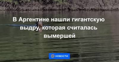 В Аргентине нашли гигантскую выдру, которая считалась вымершей - news.mail.ru - Аргентина - Парагвай