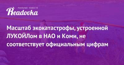 Масштаб экокатастрофы, устроенной ЛУКОЙЛом в НАО и Коми, не соответствует официальным цифрам - readovka.ru - респ. Коми - окр.Ненецкий - Архангельская обл.