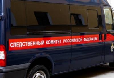 Случаем избиения мужчиной 11-летнего подростка в Гатчинском районе занялись следователи - online47.ru - Санкт-Петербург