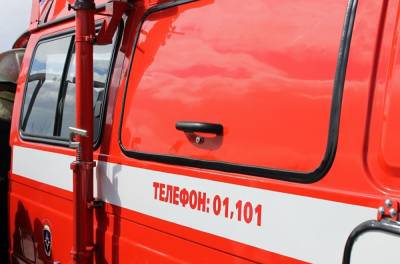 МЧС: Вместо пожарного поста в Московском появится областное пожарное подразделение - znak.com - Тюмень - Тюменская обл. - район Тюменский