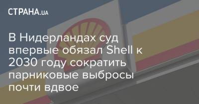 Shell - В Нидерландах суд впервые обязал Shell к 2030 году сократить парниковые выбросы почти вдвое - strana.ua - Голландия