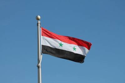 Башар Асад - В Сирии завершилось голосование на президентских выборах - aif.ru - Сирия - Дамаск - Сана