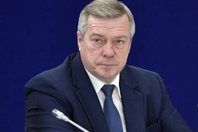 Василий Голубев - Илона Маску - Российский губернатор предложил Илону Маску инвестировать в свой регион - lenta.ru - Ростовская обл.