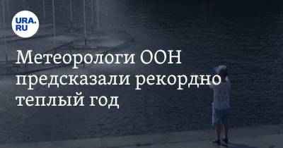 Метеорологи ООН предсказали рекордно теплый год - ura.news