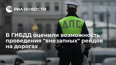 Николай Шеюхин - В ГИБДД оценили возможность проведения "внезапных" рейдов на дорогах - ria.ru - Москва - Россия