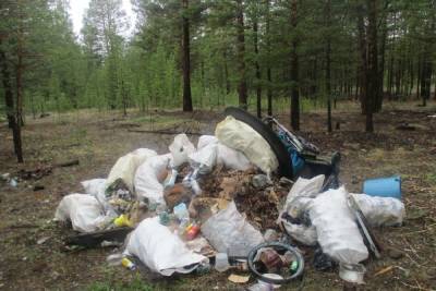 Житель Бурятии задержан при попытке вывезти отходы в лес - ulan.mk.ru - респ.Бурятия - район Хоринский