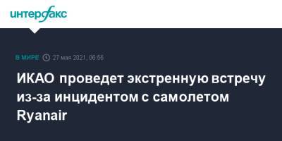 Александр Лукашенко - ИКАО проведет экстренную встречу из-за инцидентом с самолетом Ryanair - interfax.ru - Москва - Белоруссия - Вильнюс - Минск - Ирландия