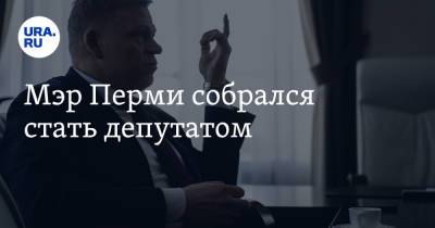 Дмитрий Махонин - Алексей Демкин - Мэр Перми собрался стать депутатом - ura.news - Пермь
