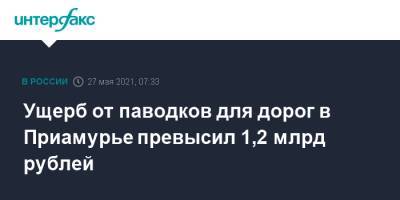 Ущерб от паводков для дорог в Приамурье превысил 1,2 млрд рублей - interfax.ru - Москва - Амурская обл.