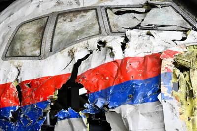 Олег Пулатов - Защита россиянина по делу MH17 пожаловалась на отсутствие документов на русском - lenta.ru - Голландия