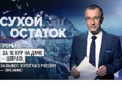 Пронько: За 10 кур на даче - штраф, за вывоз золота из России – премия? Видео - newsland.com - Лондон - Волгоград