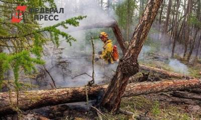 В Тюмени ликвидировали двадцать три пожара - fedpress.ru - Тюмень - Тюменская обл.