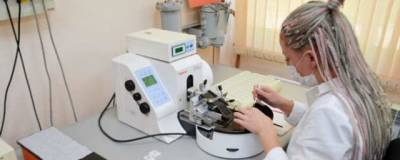 Сибирские химики разработали биодобавку для повышения работоспособности - runews24.ru - Новосибирск